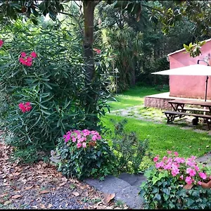 La Casa Tra Gli Agrumi Affittacamere